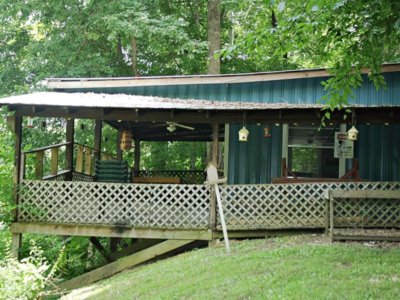 Buffalo River Front Cabin 1.2 Ac : Lobelville : Perry County : Tennessee