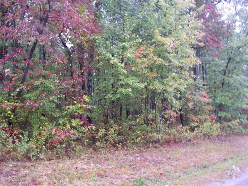 Mountain Property Cumberland : Monterey : Cumberland County : Tennessee