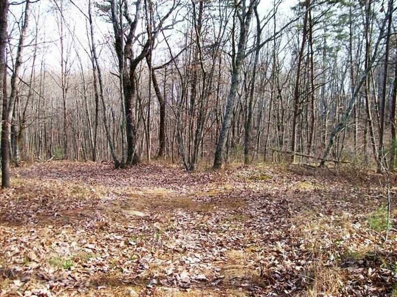 5.35 Acres, Bluff Lot, Streams : Pikeville : Bledsoe County : Tennessee