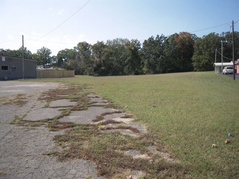 Commercial Land Savannah TN Highway : Savannah : Hardin County : Tennessee