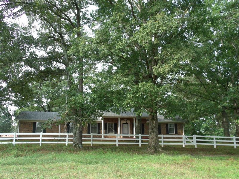 Tn Mini Farm, Basement, Pasture : Savannah : Hardin County : Tennessee