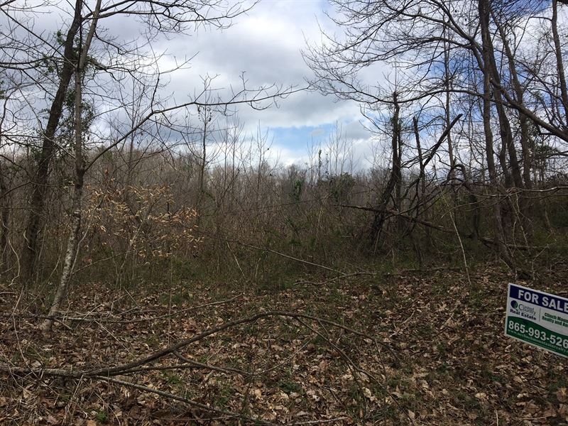 Unrestricted 4.26 Acres Thorn Hill : Thorn Hill : Grainger County : Tennessee