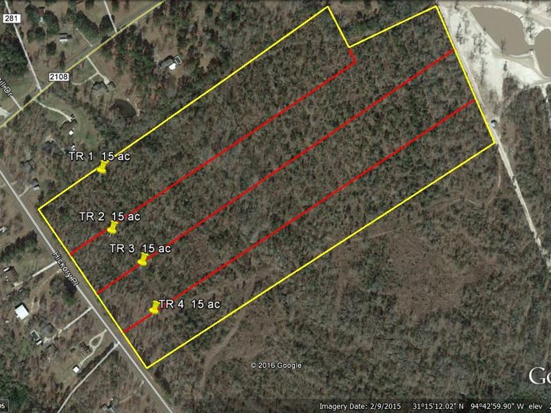 15 Acres Wooded Residential Land : Lufkin : Angelina County : Texas