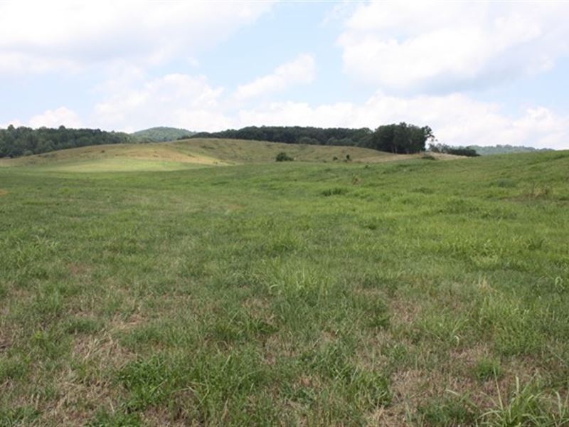 Level Building Site Great Bristol : Bristol : Washington County : Virginia
