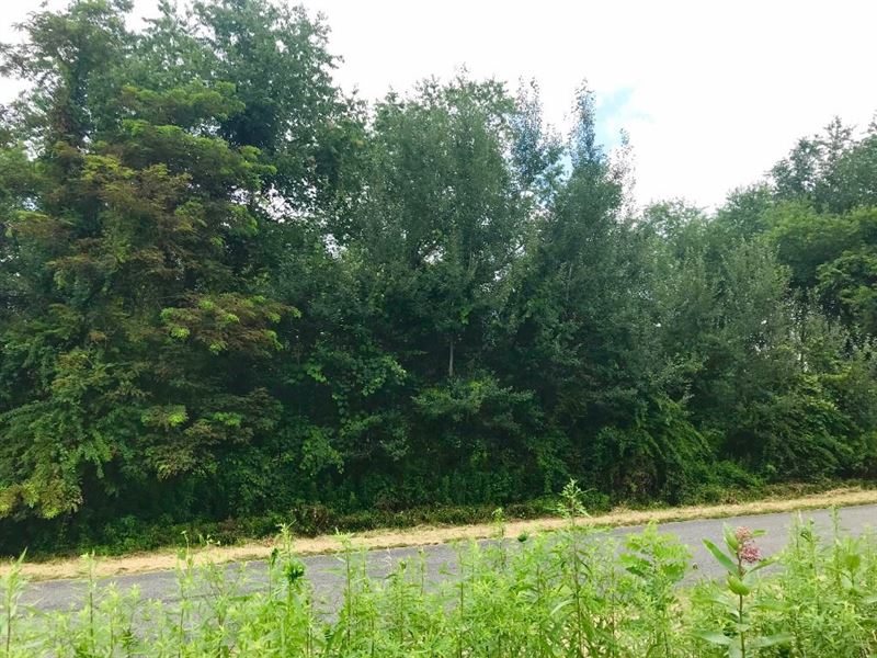 Building Lot Olde Mill Golf Course : Laurel Fork : Carroll County : Virginia