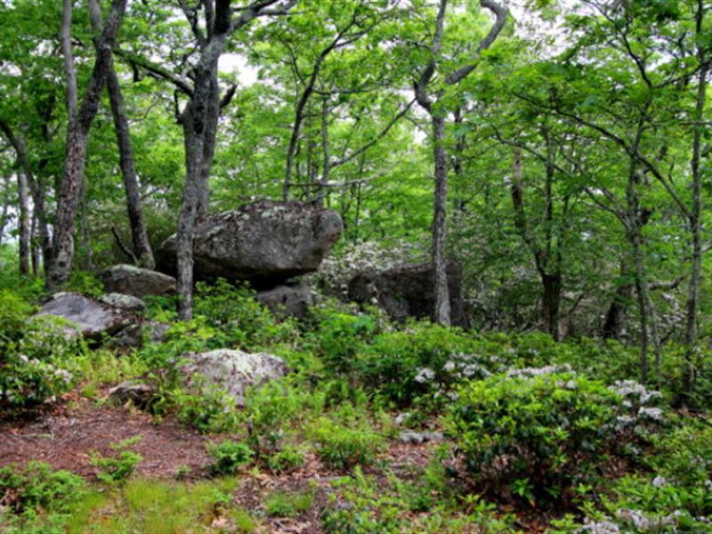 Lots P-1&2 Point Lookout Mountain : Independence : Grayson County : Virginia
