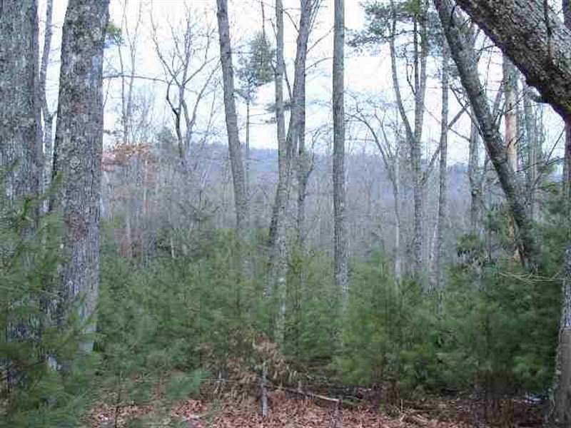 Homesite for Sale in Virginia : Independence : Grayson County : Virginia