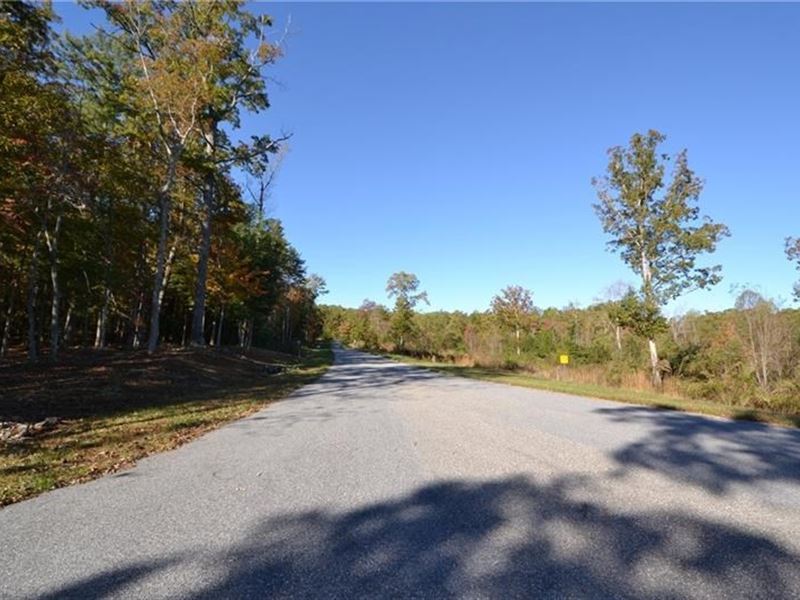 North GA Land Located Between Blue : Blairsville : Union County : Georgia