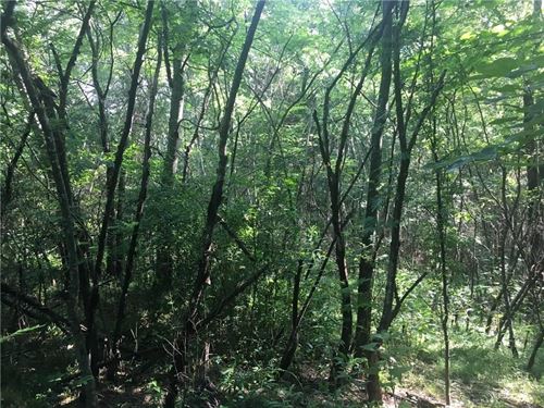 5.25 Acre Wooded Tract Road : Chatsworth : Murray County : Georgia