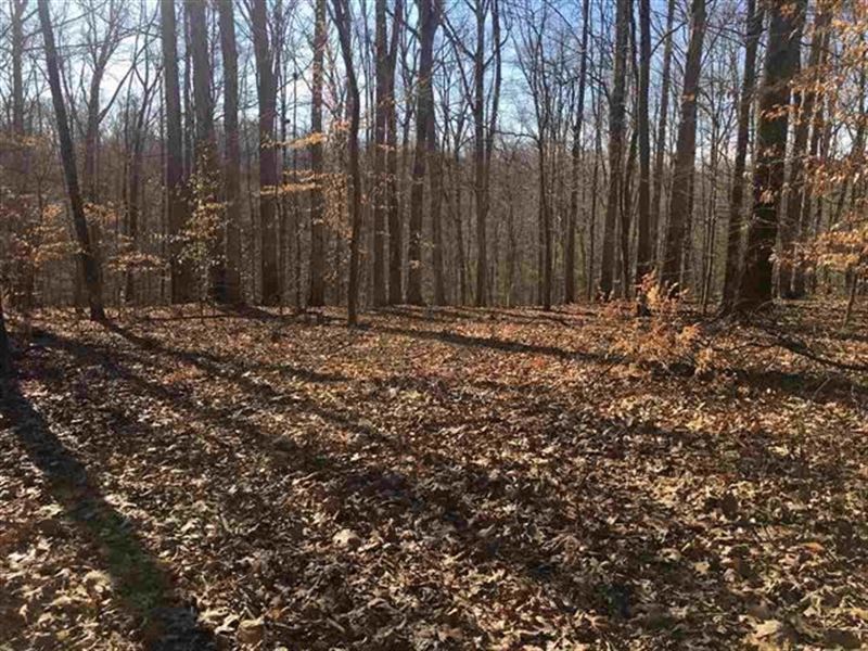Lake Monroe Building Lot Lot for Sale in Bloomington, Monroe County