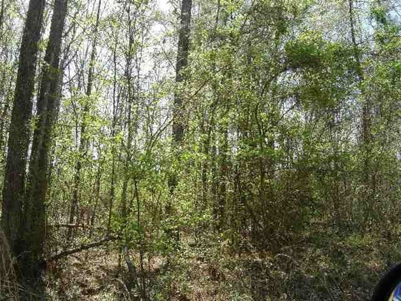 Land in West Monroe LA for Sale : West Monroe : Ouachita Parish : Louisiana