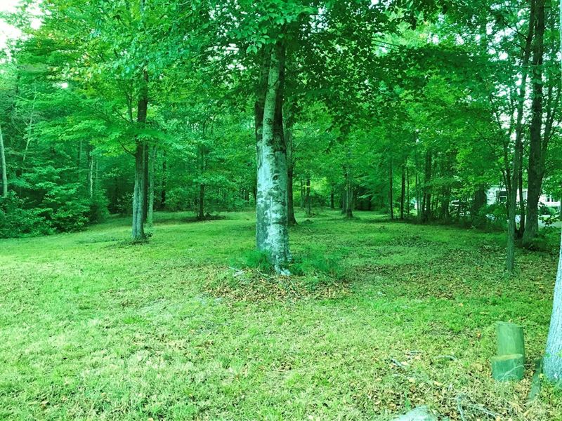 Water Access Lot with Pier and Dock : Hertford : Perquimans County : North Carolina