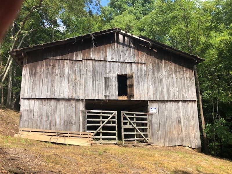Gorgeous Lot Williamson County : Primm Springs : Williamson County : Tennessee