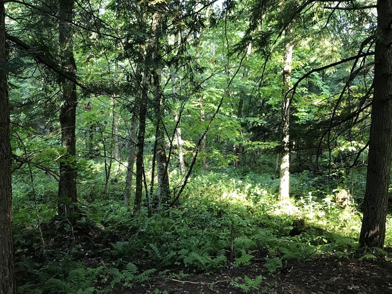 Tug Hill Hunting Camp Lot : Florence : New York County : New York