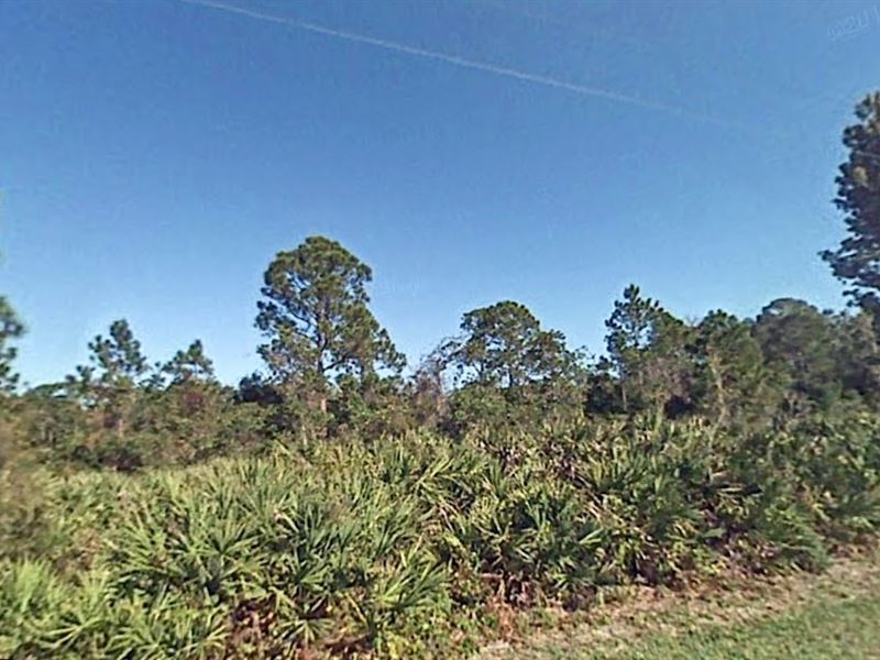 1.33 Acres in Okeechobee, FL : Okeechobee : Osceola County : Florida