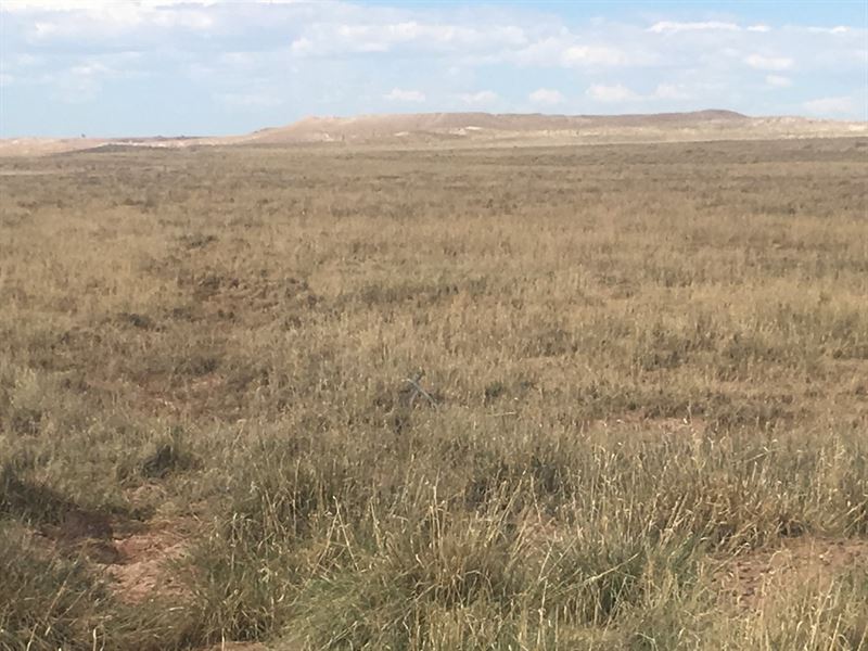 5 Acres in Holbrook, AZ : Holbrook : Navajo County : Arizona