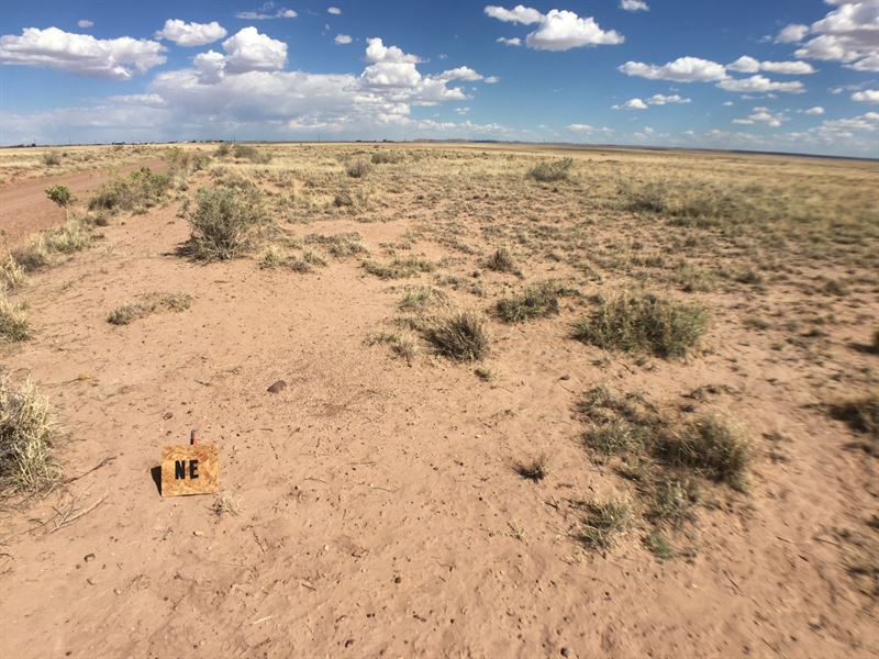 5 Acres in Holbrook, AZ : Holbrook : Navajo County : Arizona