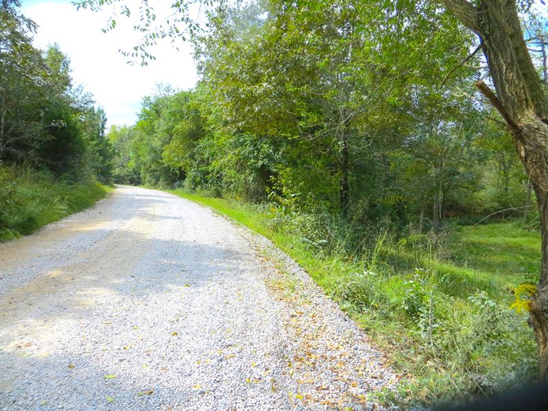 Homesite with Acreage for Sale : Thayer : Oregon County : Missouri