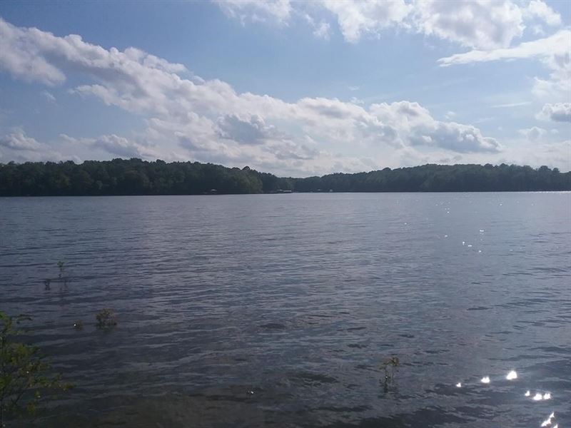 Acreage On Buggs Island Lake, VA, Lot for Sale in Virginia, 175497