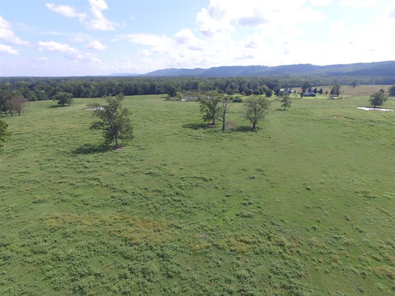 11.86 Ac Mini Farm : Ashville : Saint Clair County : Alabama