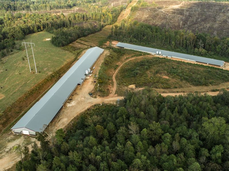 2 House Poultry Mega Farm, E Al : Woodland : Randolph County : Alabama