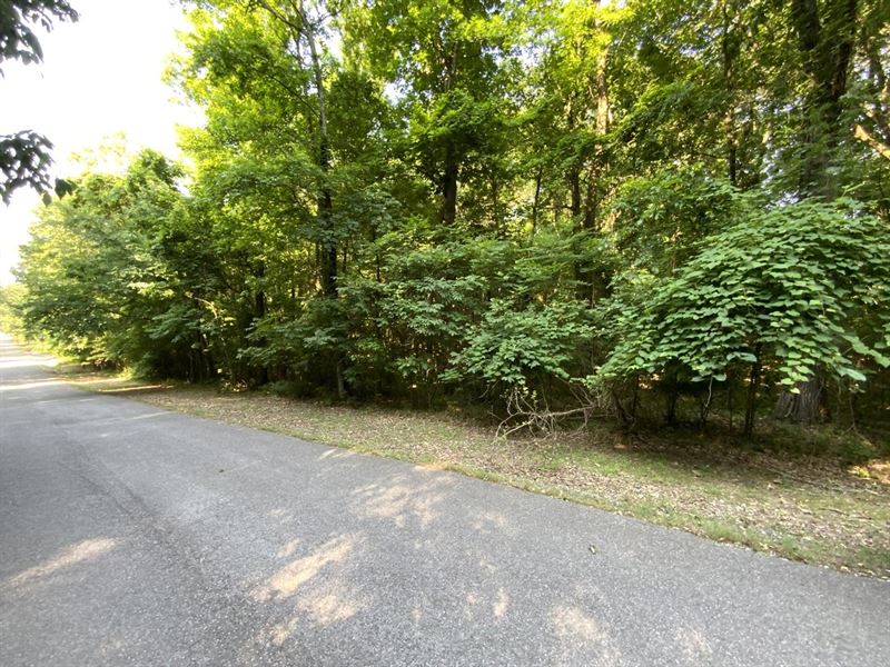 3 Lots, Close to Hospital, Utilitie : Batesville : Independence County : Arkansas
