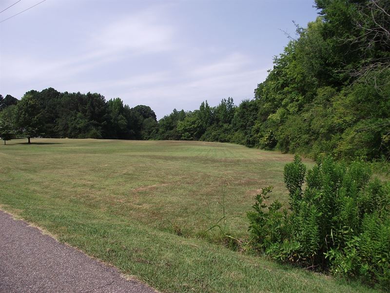 Commercial Land in Adamsville Tn : Adamsville : McNairy County : Tennessee