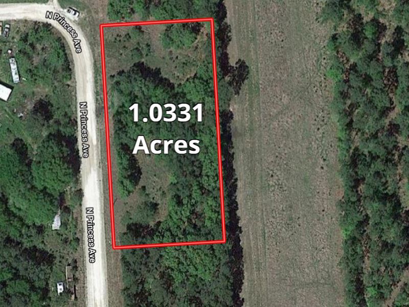 Un-Restricted Acre Home/Com, Site : Corrigan : Polk County : Texas