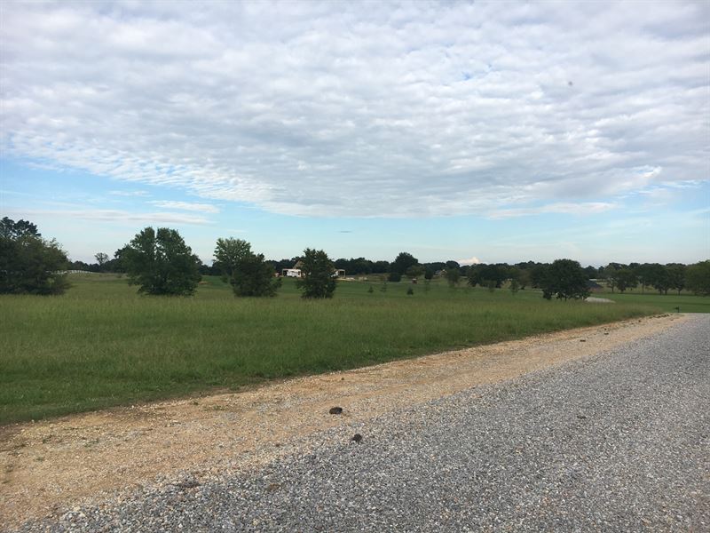 Land Oktoc Rd, Starkville, MS 39759 : Starkville : Oktibbeha County : Mississippi