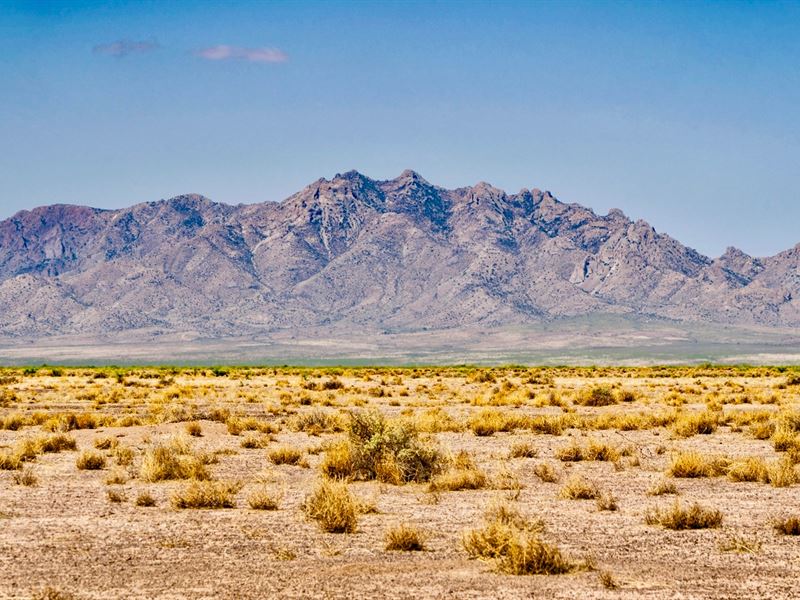 Homesite Bordering Public Land : Deming : Luna County : New Mexico