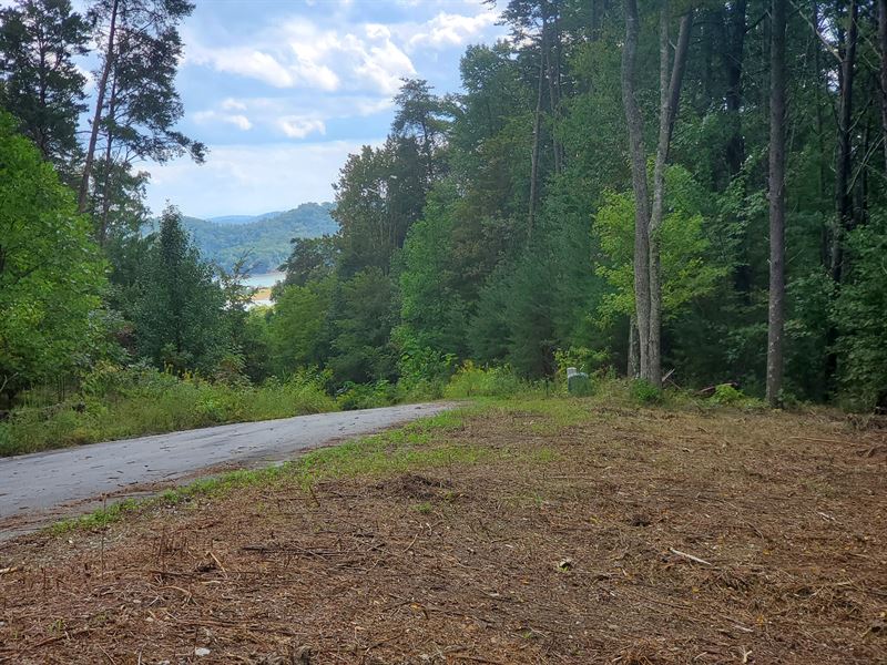 Cherokee Lake View Lot with Access : Bean Station : Grainger County : Tennessee
