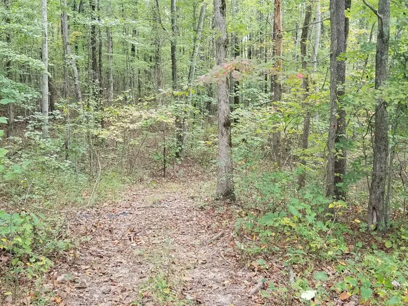 3.06+/-Acres Nice Wooded Tract : South Pittsburg : Marion County : Tennessee