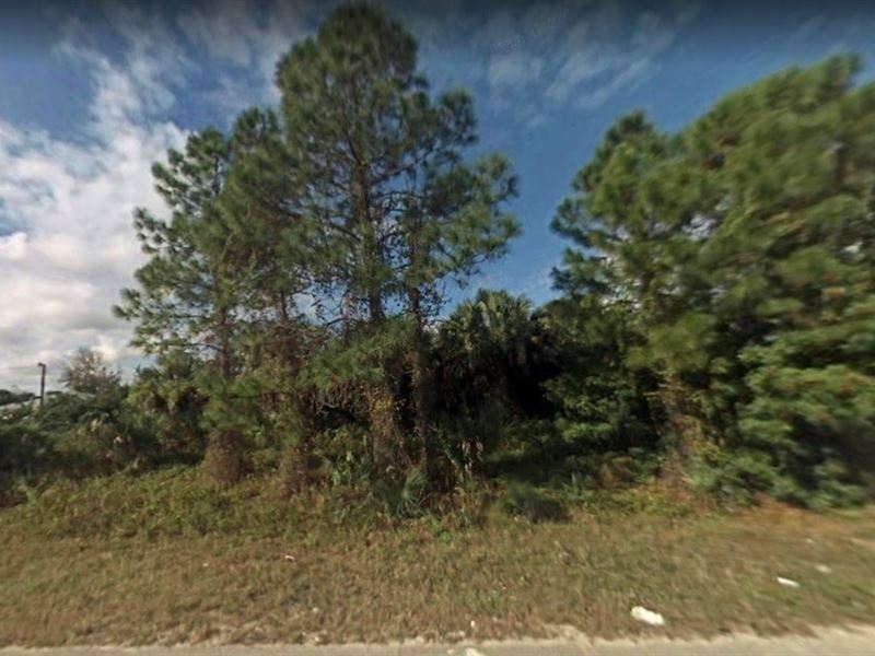 Collier County, Fl $115,000 : Rural Estates : Collier County : Florida