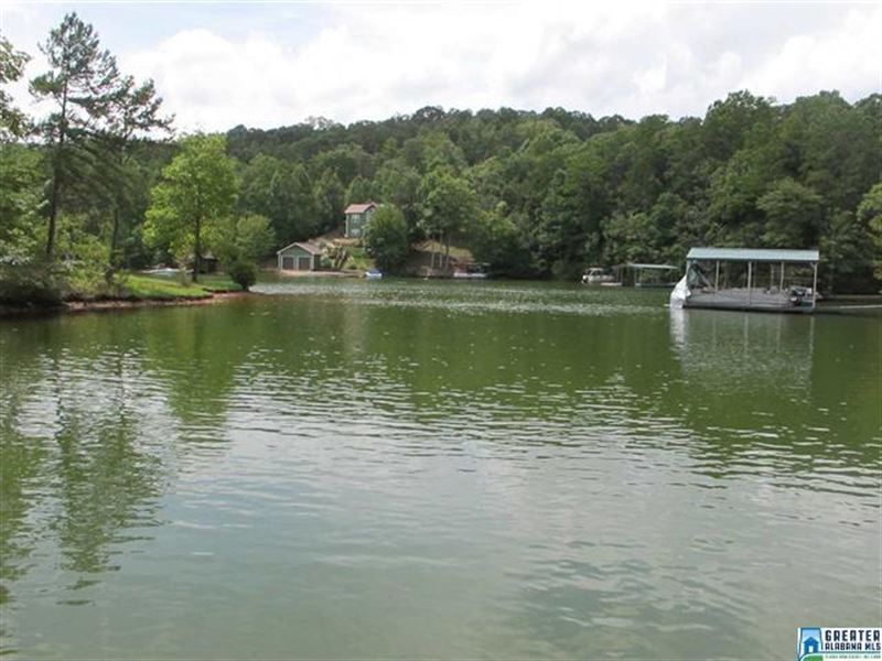 Mild Sloping Lot with Dock : Wedowee : Randolph County : Alabama
