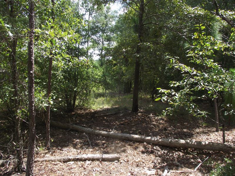 Summertown Country Estates 14 : Summertown : Emanuel County : Georgia