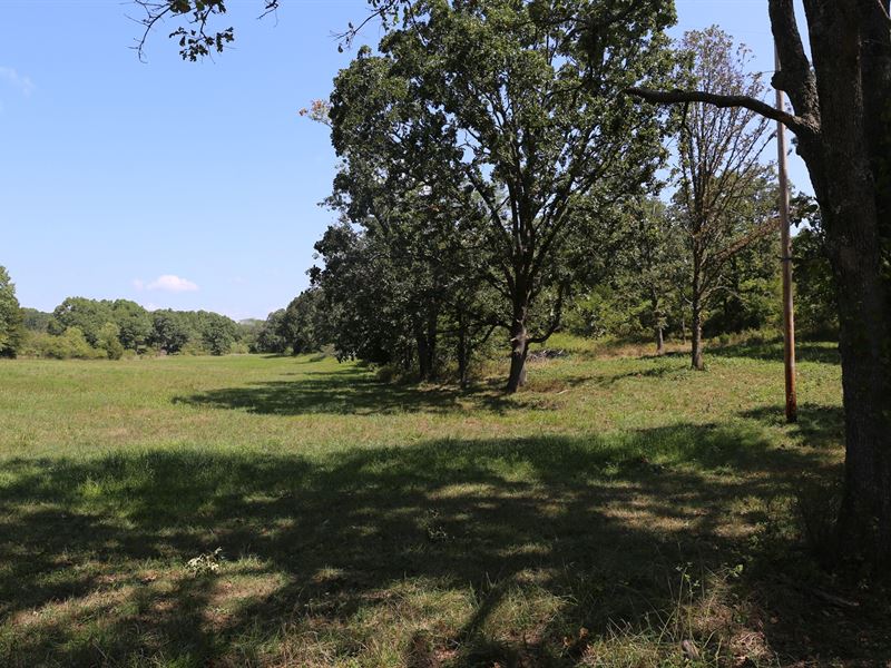 West Plains, Missouri Residential : West Plains : Howell County : Missouri
