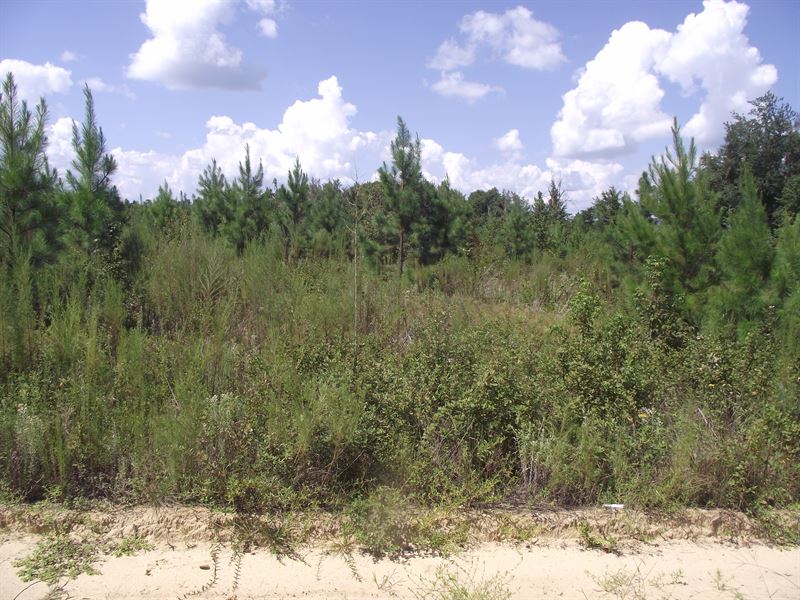Summertown Country Estates 8 : Summertown : Emanuel County : Georgia