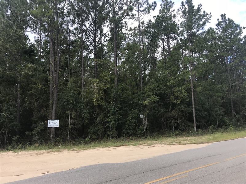 Private Lot with Road Frontage : Jesup : Wayne County : Georgia