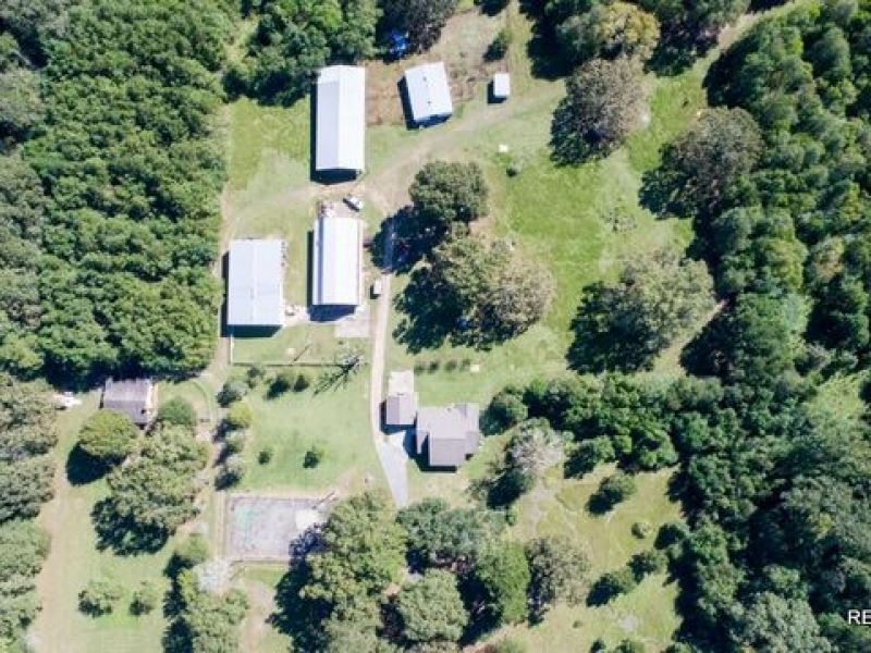 7 Ac, Home and Acreage : Greensburg : Saint Helena Parish : Louisiana
