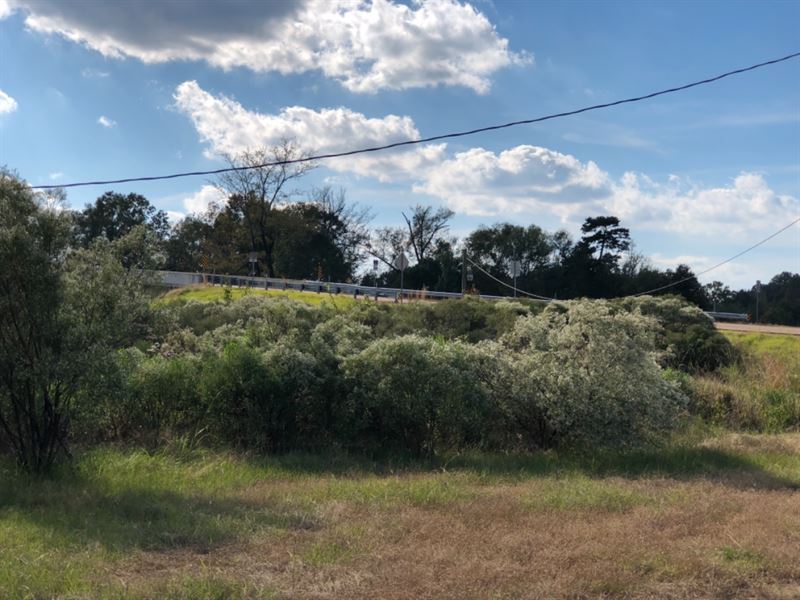 5 Acres in Florence, Mississippi : Florence : Rankin County : Mississippi