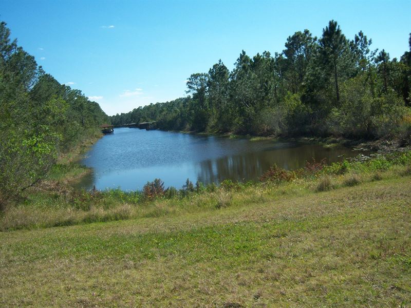 Waterfront Lot, Central Florida : Indian Lake Estates : Polk County : Florida