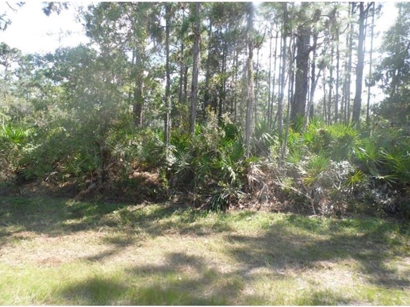 Vacant Land, Indian Lake Estates : Indian Lake Estates : Polk County : Florida