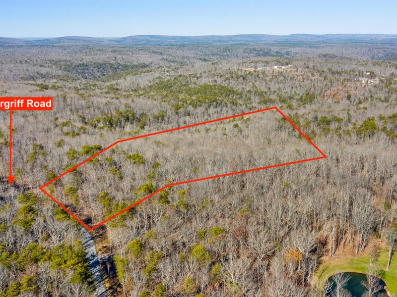 Signal Mountain Private Escape : Signal Mountain : Hamilton County : Tennessee