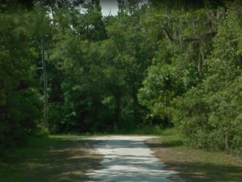 Large Royal Highlands Lot Culdesac : Weeki Wachee : Hernando County : Florida
