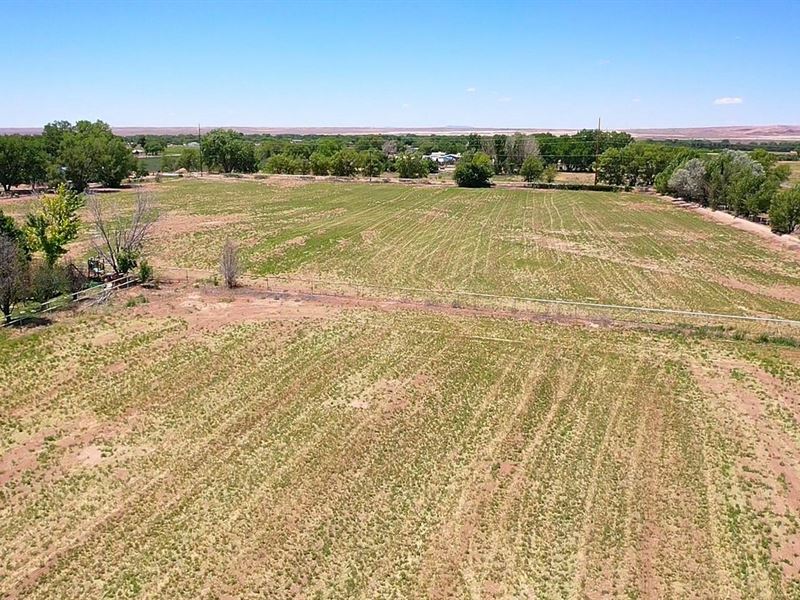 3841 Highway 314 : Los Lunas : Valencia County : New Mexico