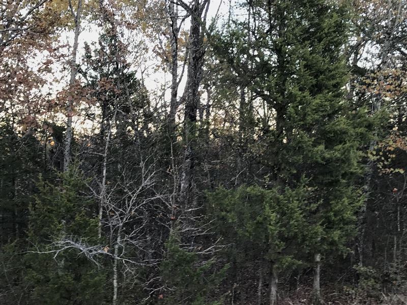 Land Mountain Home, AR Baxter : Mountain Home : Baxter County : Arkansas