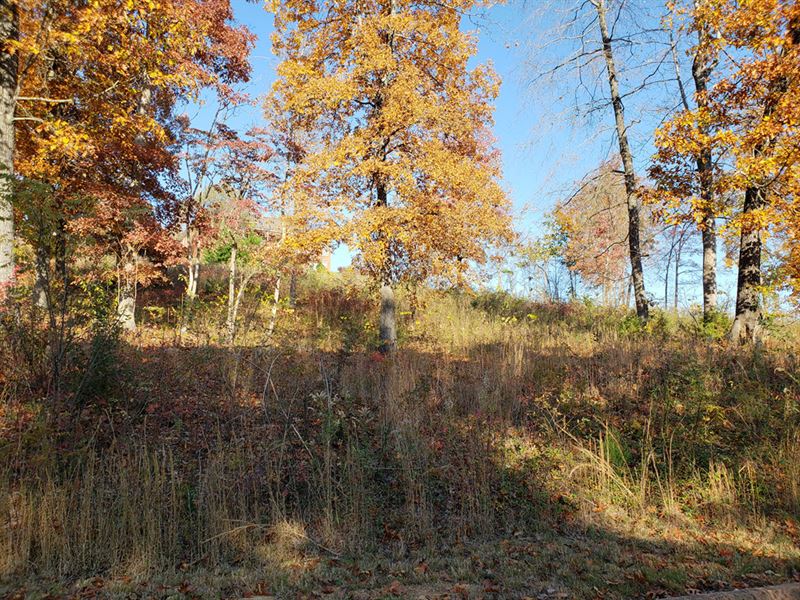 Building Lot in Shiloh Springs : Rutledge : Grainger County : Tennessee