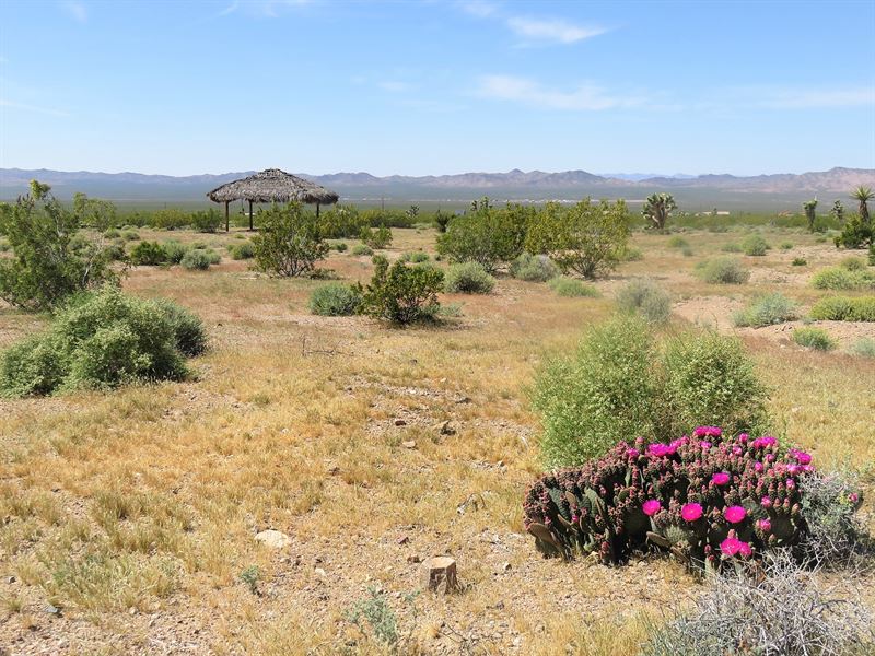 White Hills, Power, Water, Gazebo : White Hills : Mohave County : Arizona