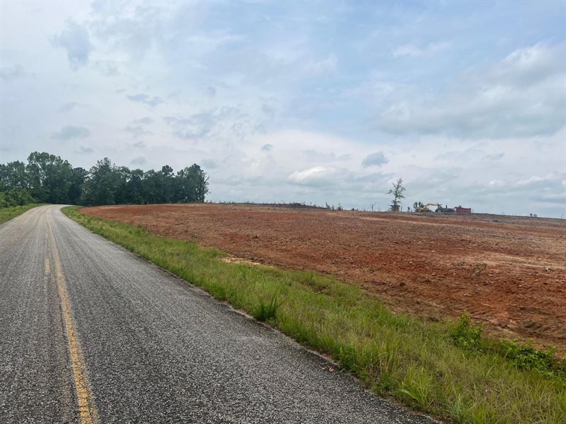 6.75 Acre Homesite Opportunity : Ariton : Dale County : Alabama