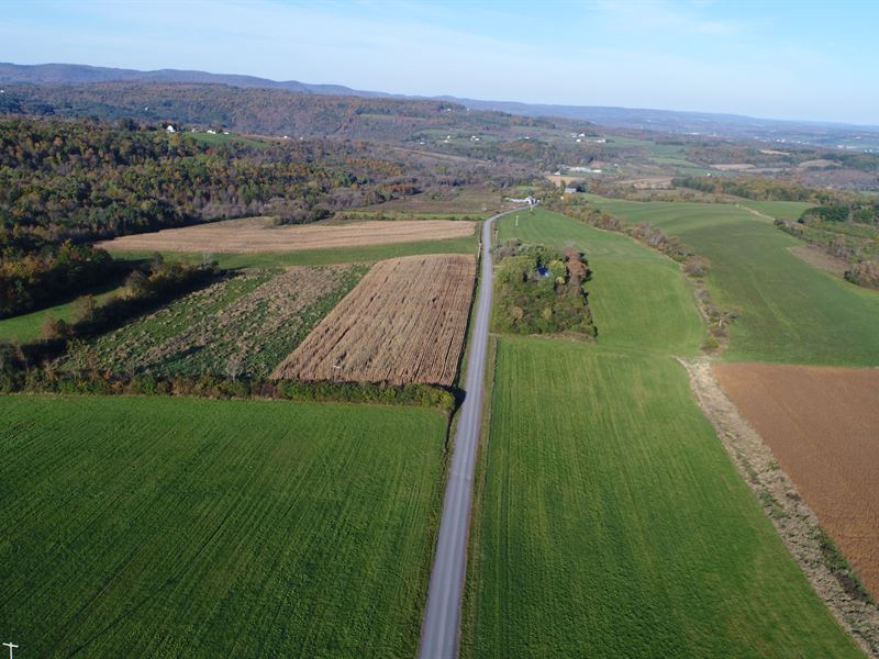 Catskills Farm Land Liquidation : Sharon Springs : Schoharie County : New York